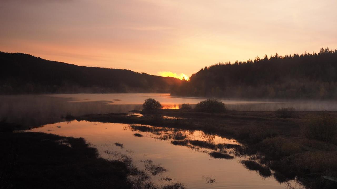 C3 Albmatte-Fewo Sauna, Hallenbad Aussenbecken Massagen Nebenan St. Blasien Buitenkant foto