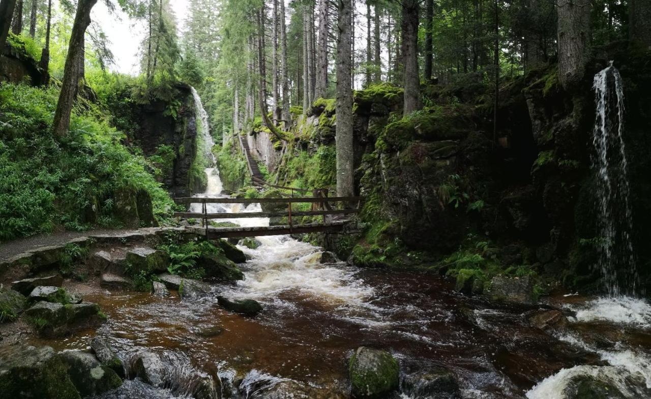 C3 Albmatte-Fewo Sauna, Hallenbad Aussenbecken Massagen Nebenan St. Blasien Buitenkant foto