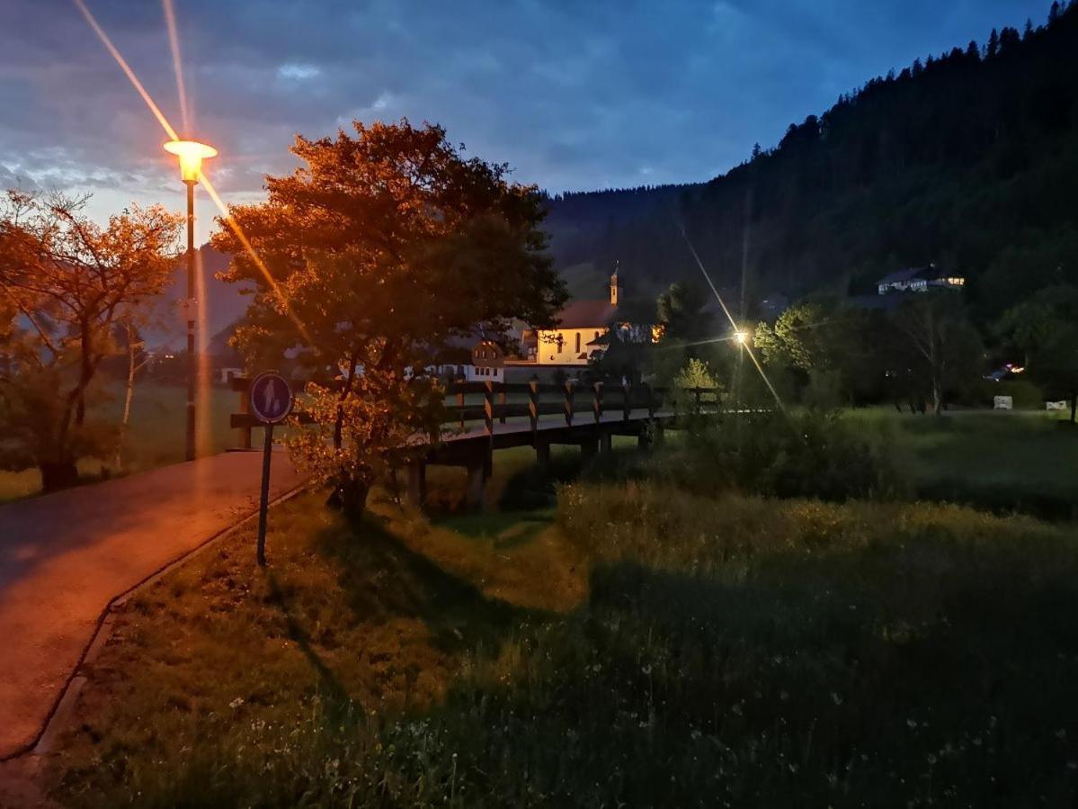 C3 Albmatte-Fewo Sauna, Hallenbad Aussenbecken Massagen Nebenan St. Blasien Buitenkant foto