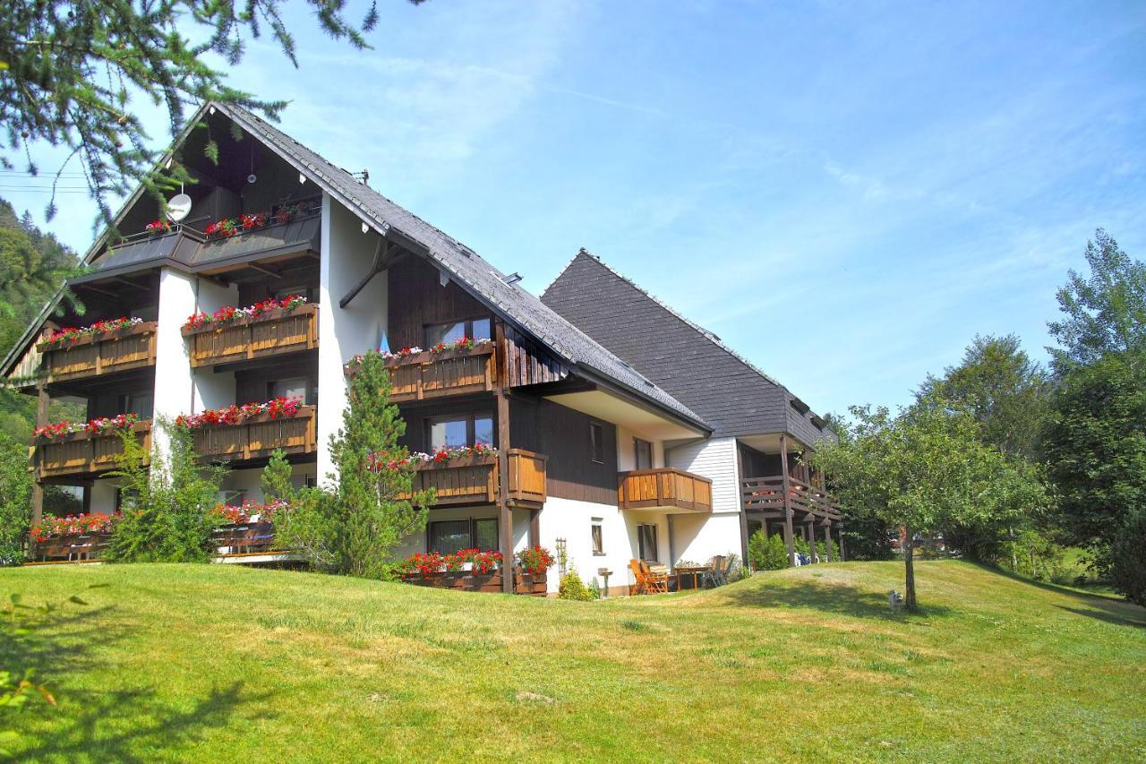 C3 Albmatte-Fewo Sauna, Hallenbad Aussenbecken Massagen Nebenan St. Blasien Buitenkant foto