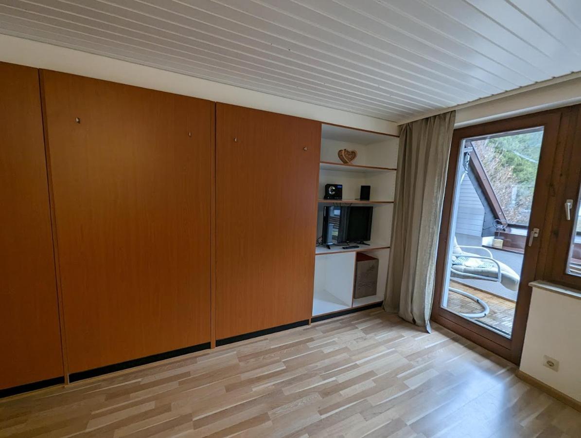 C3 Albmatte-Fewo Sauna, Hallenbad Aussenbecken Massagen Nebenan St. Blasien Buitenkant foto
