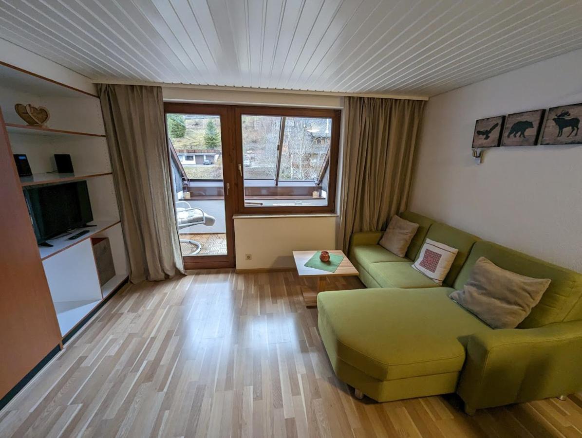 C3 Albmatte-Fewo Sauna, Hallenbad Aussenbecken Massagen Nebenan St. Blasien Buitenkant foto