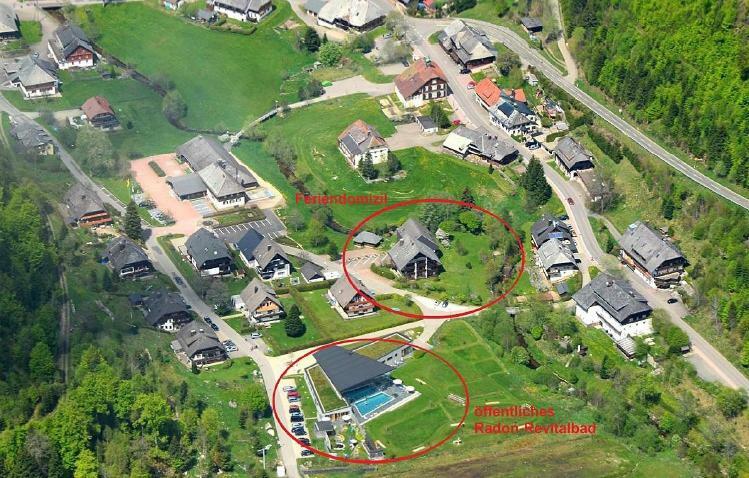 C3 Albmatte-Fewo Sauna, Hallenbad Aussenbecken Massagen Nebenan St. Blasien Buitenkant foto