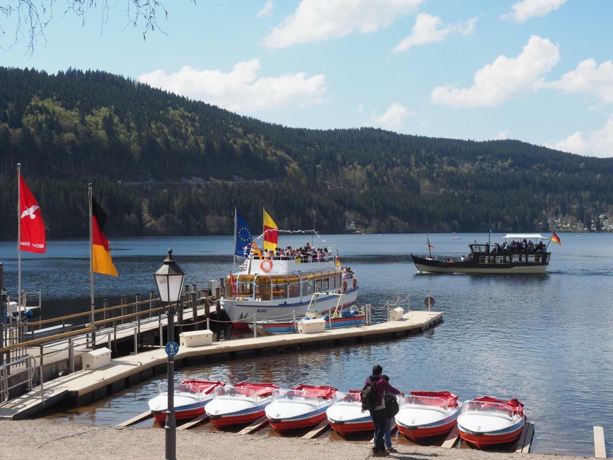 C3 Albmatte-Fewo Sauna, Hallenbad Aussenbecken Massagen Nebenan St. Blasien Buitenkant foto