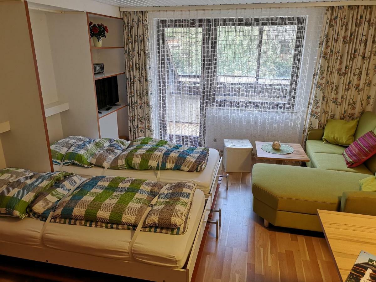 C3 Albmatte-Fewo Sauna, Hallenbad Aussenbecken Massagen Nebenan St. Blasien Buitenkant foto