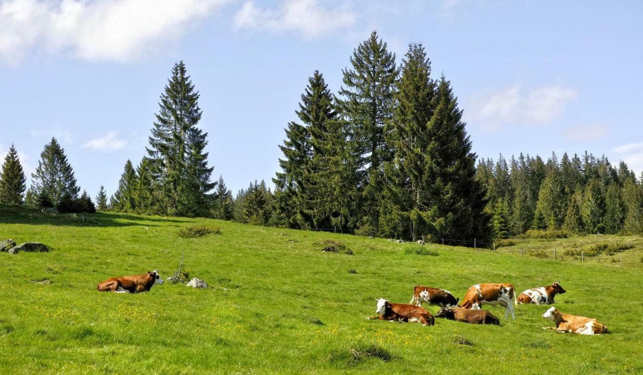C3 Albmatte-Fewo Sauna, Hallenbad Aussenbecken Massagen Nebenan St. Blasien Buitenkant foto
