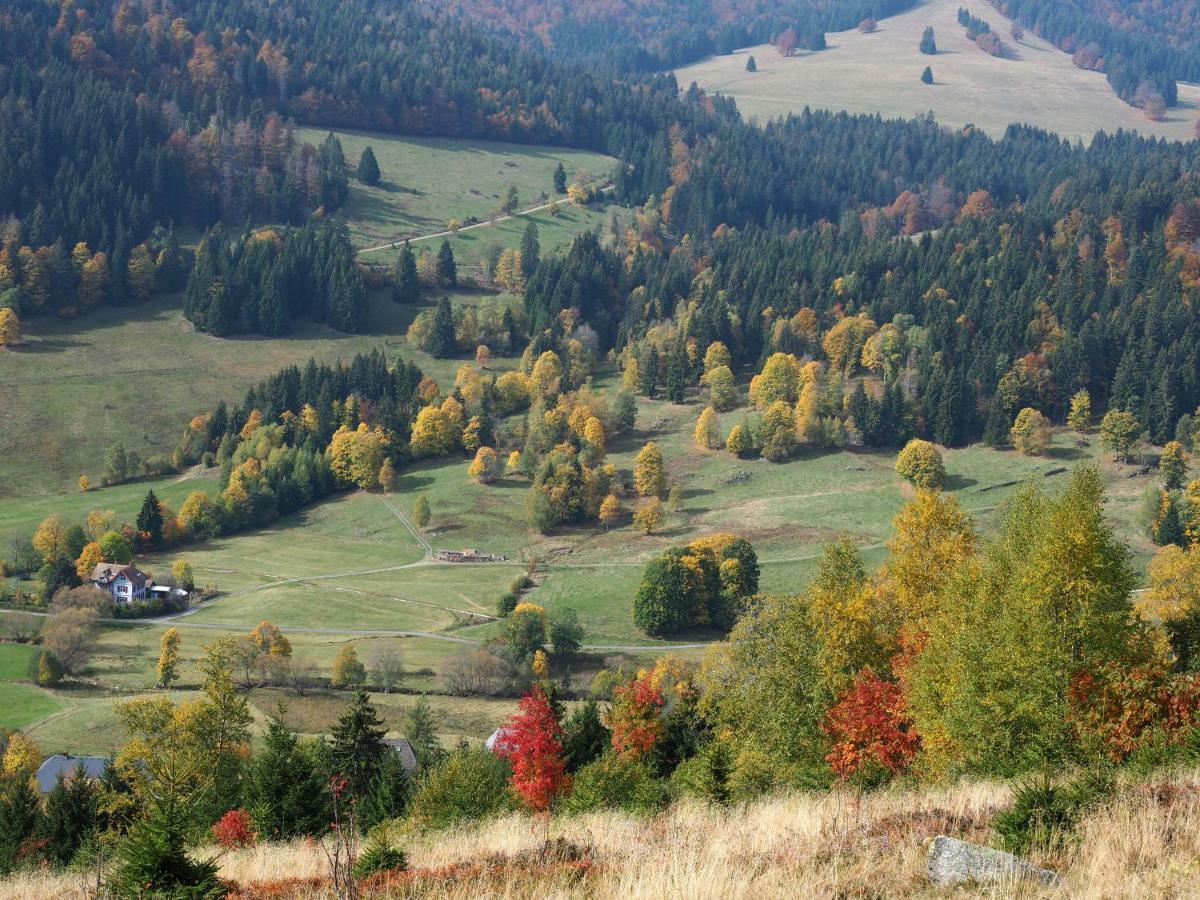 C3 Albmatte-Fewo Sauna, Hallenbad Aussenbecken Massagen Nebenan St. Blasien Buitenkant foto