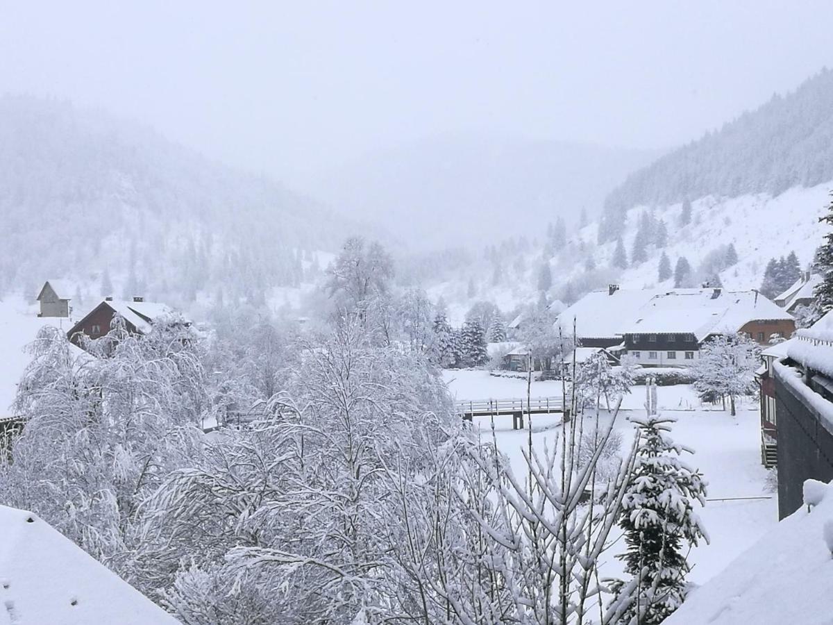 C3 Albmatte-Fewo Sauna, Hallenbad Aussenbecken Massagen Nebenan St. Blasien Buitenkant foto