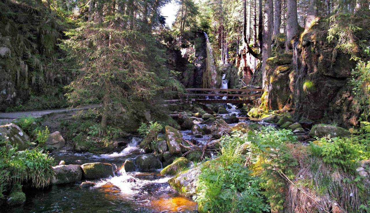 C3 Albmatte-Fewo Sauna, Hallenbad Aussenbecken Massagen Nebenan St. Blasien Buitenkant foto