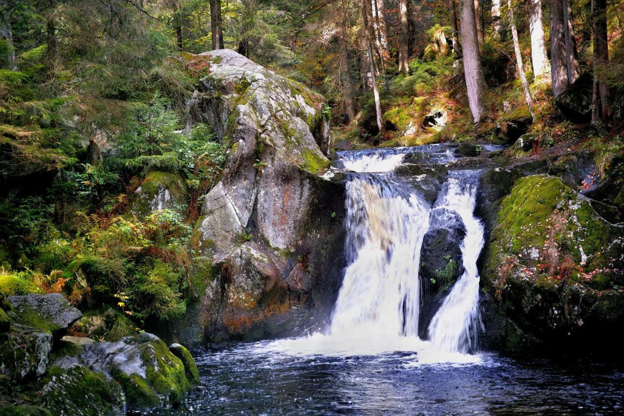 C3 Albmatte-Fewo Sauna, Hallenbad Aussenbecken Massagen Nebenan St. Blasien Buitenkant foto