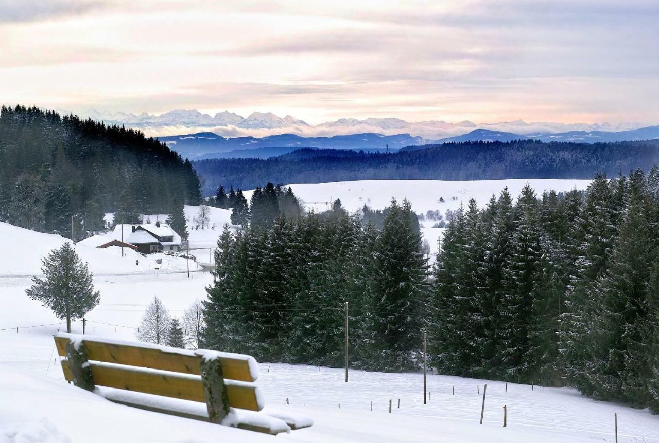 C3 Albmatte-Fewo Sauna, Hallenbad Aussenbecken Massagen Nebenan St. Blasien Buitenkant foto