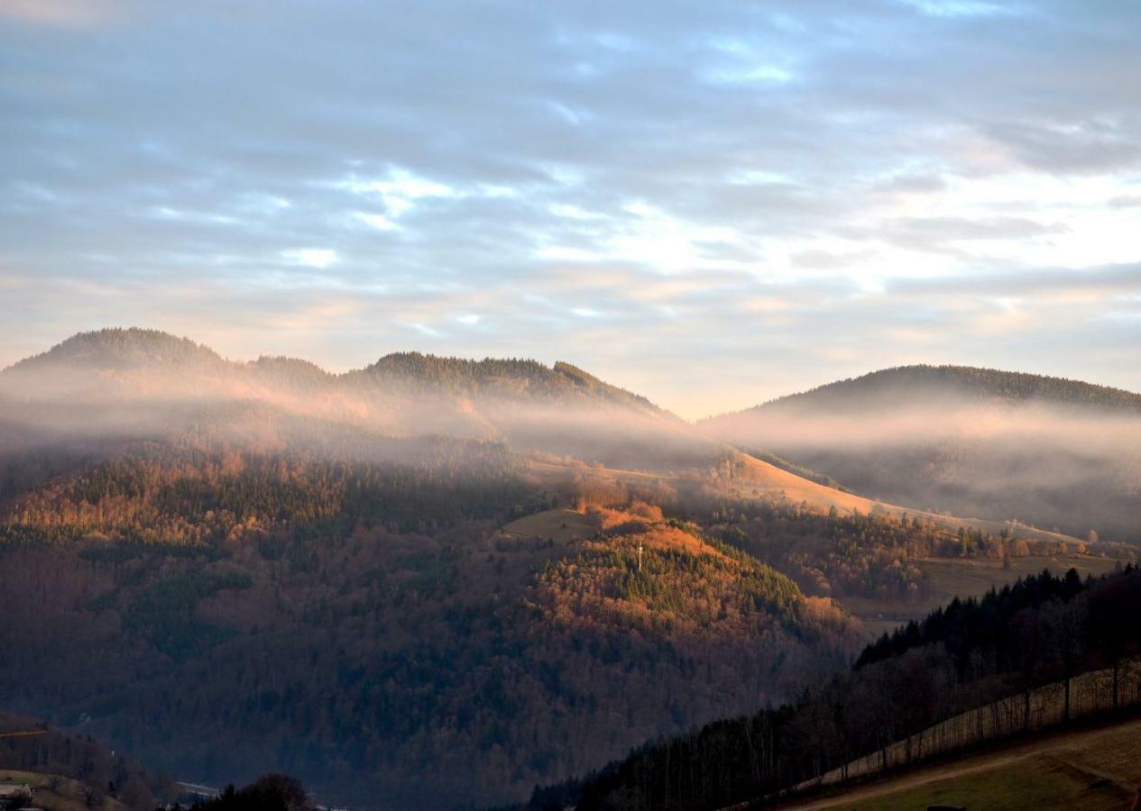 C3 Albmatte-Fewo Sauna, Hallenbad Aussenbecken Massagen Nebenan St. Blasien Buitenkant foto
