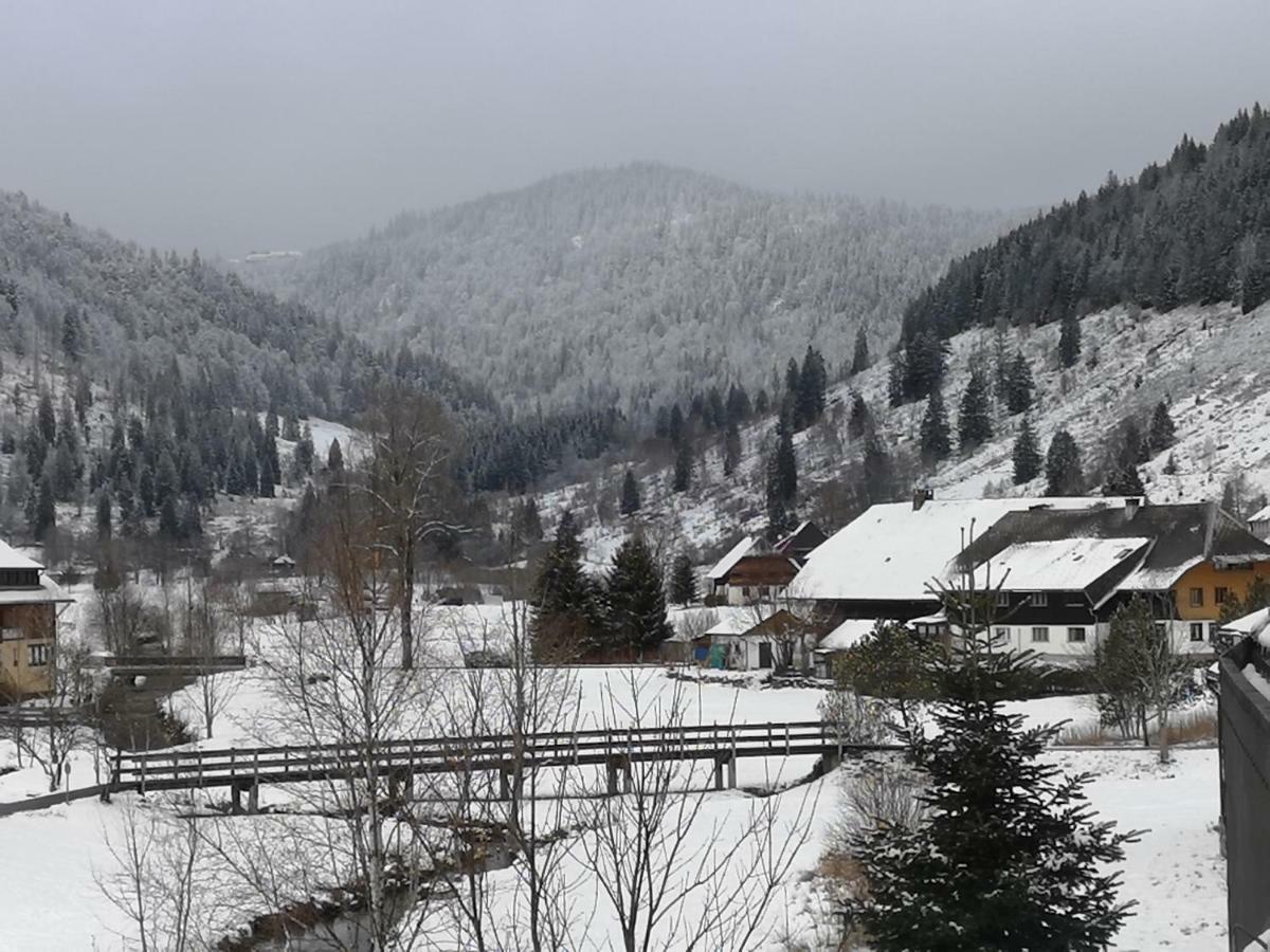 C3 Albmatte-Fewo Sauna, Hallenbad Aussenbecken Massagen Nebenan St. Blasien Buitenkant foto