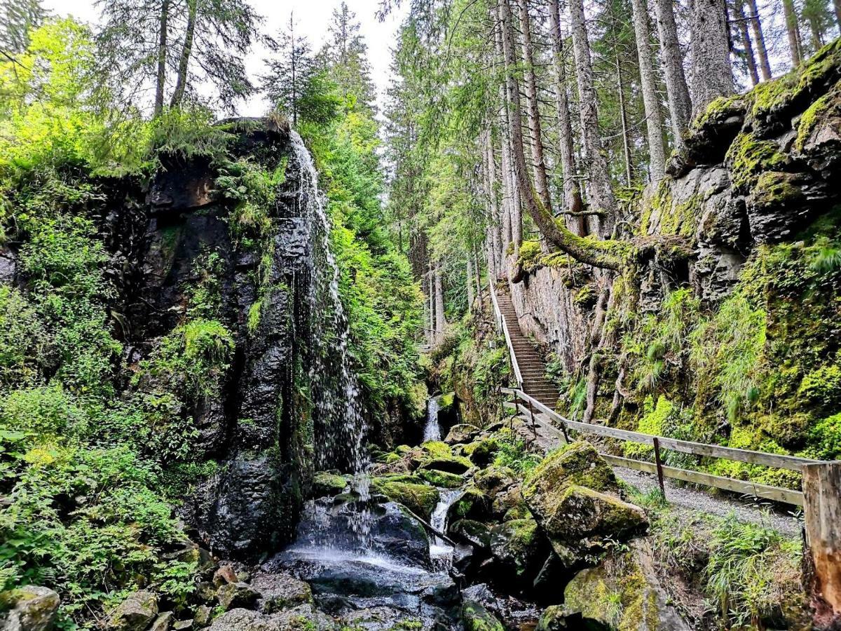 C3 Albmatte-Fewo Sauna, Hallenbad Aussenbecken Massagen Nebenan St. Blasien Buitenkant foto