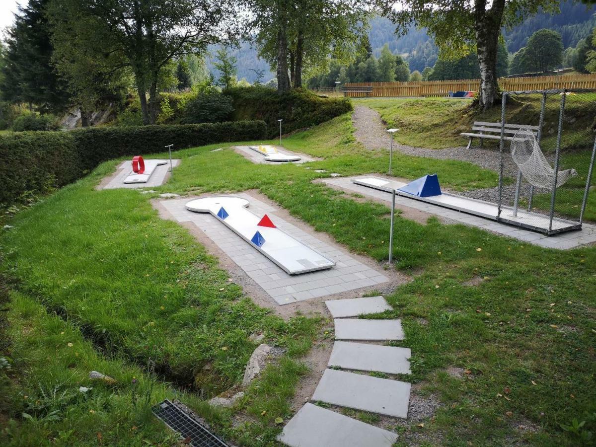 C3 Albmatte-Fewo Sauna, Hallenbad Aussenbecken Massagen Nebenan St. Blasien Buitenkant foto