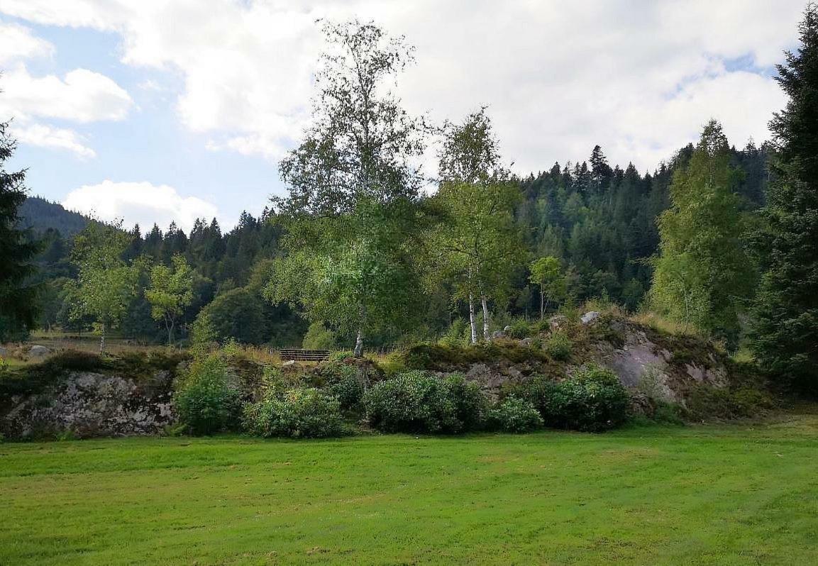 C3 Albmatte-Fewo Sauna, Hallenbad Aussenbecken Massagen Nebenan St. Blasien Buitenkant foto