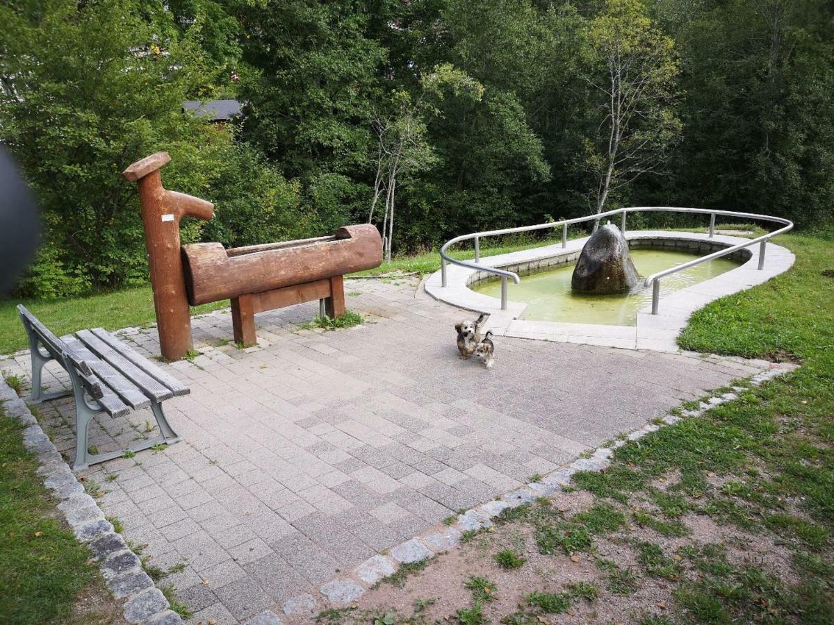C3 Albmatte-Fewo Sauna, Hallenbad Aussenbecken Massagen Nebenan St. Blasien Buitenkant foto