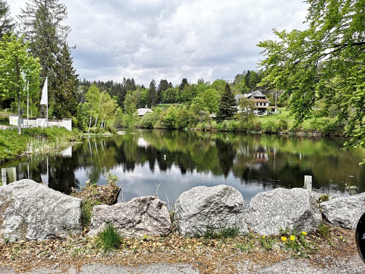 C3 Albmatte-Fewo Sauna, Hallenbad Aussenbecken Massagen Nebenan St. Blasien Buitenkant foto